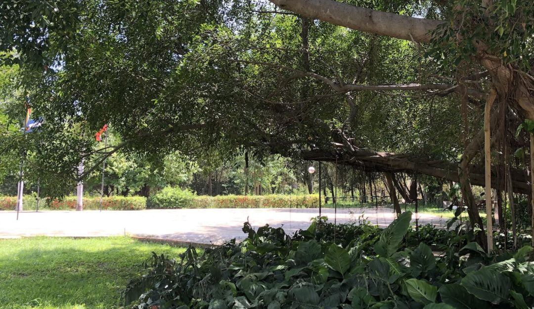 Jardines de la Quinta de San Pedro Alejandrino 