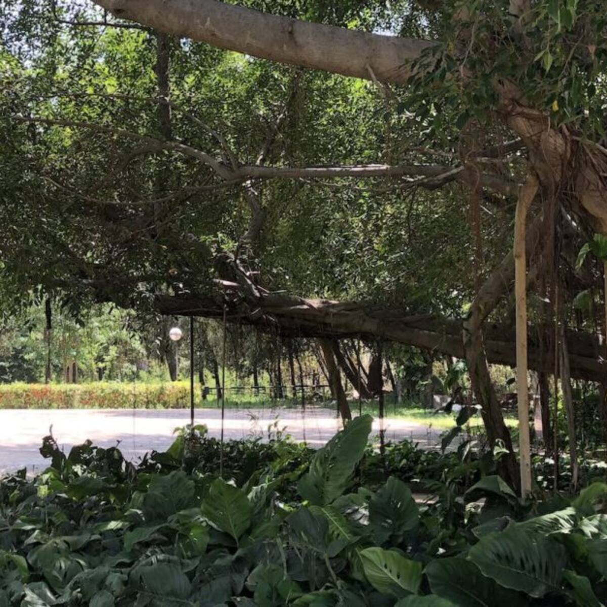 Quinta de San Pedro se reactiva y será anfitriona de eventos al aire libre