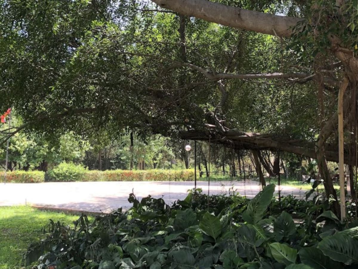 Quinta de San Pedro se reactiva y será anfitriona de eventos al aire libre