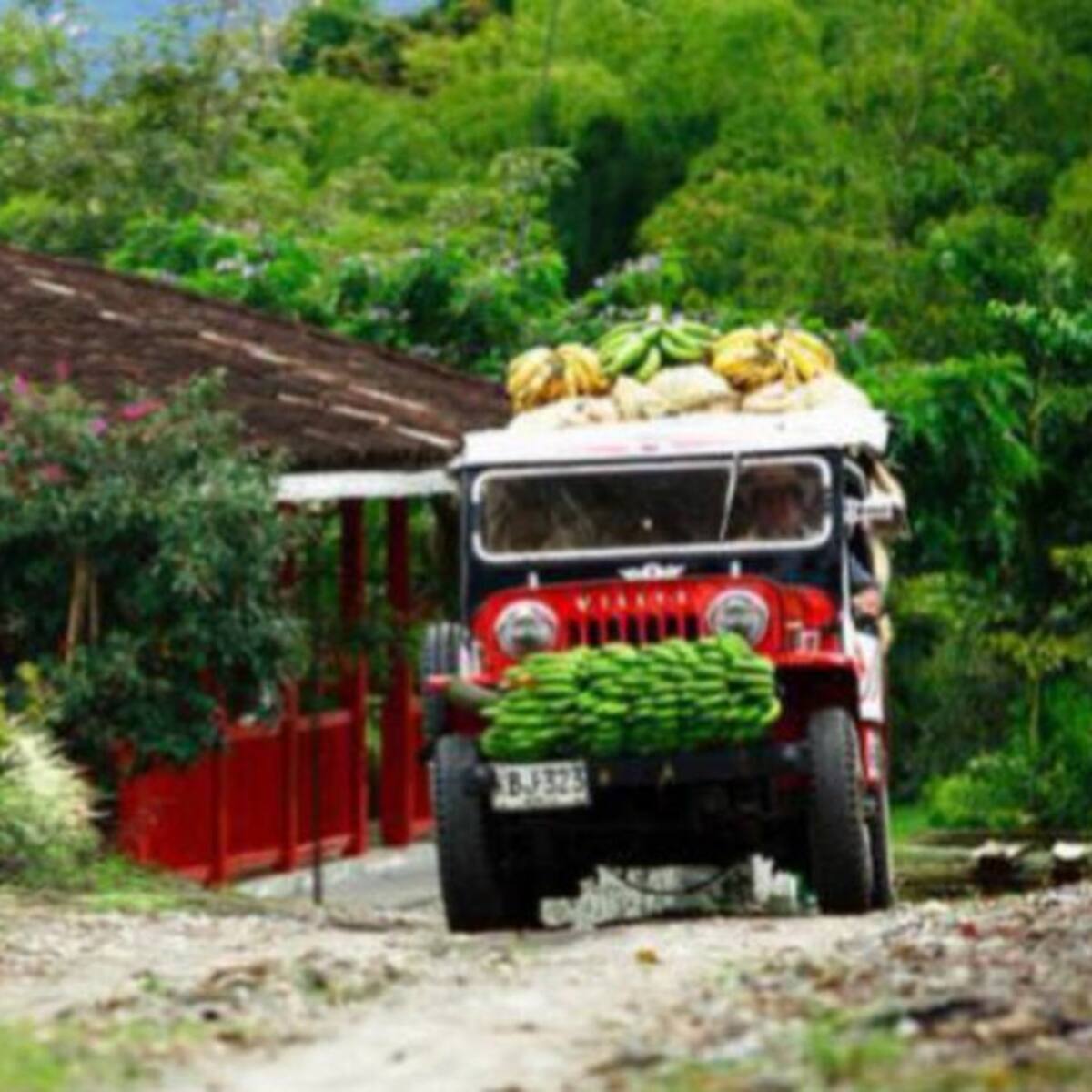 Turismo, campo e infraestructura, principales apuestas del Eje Cafetero