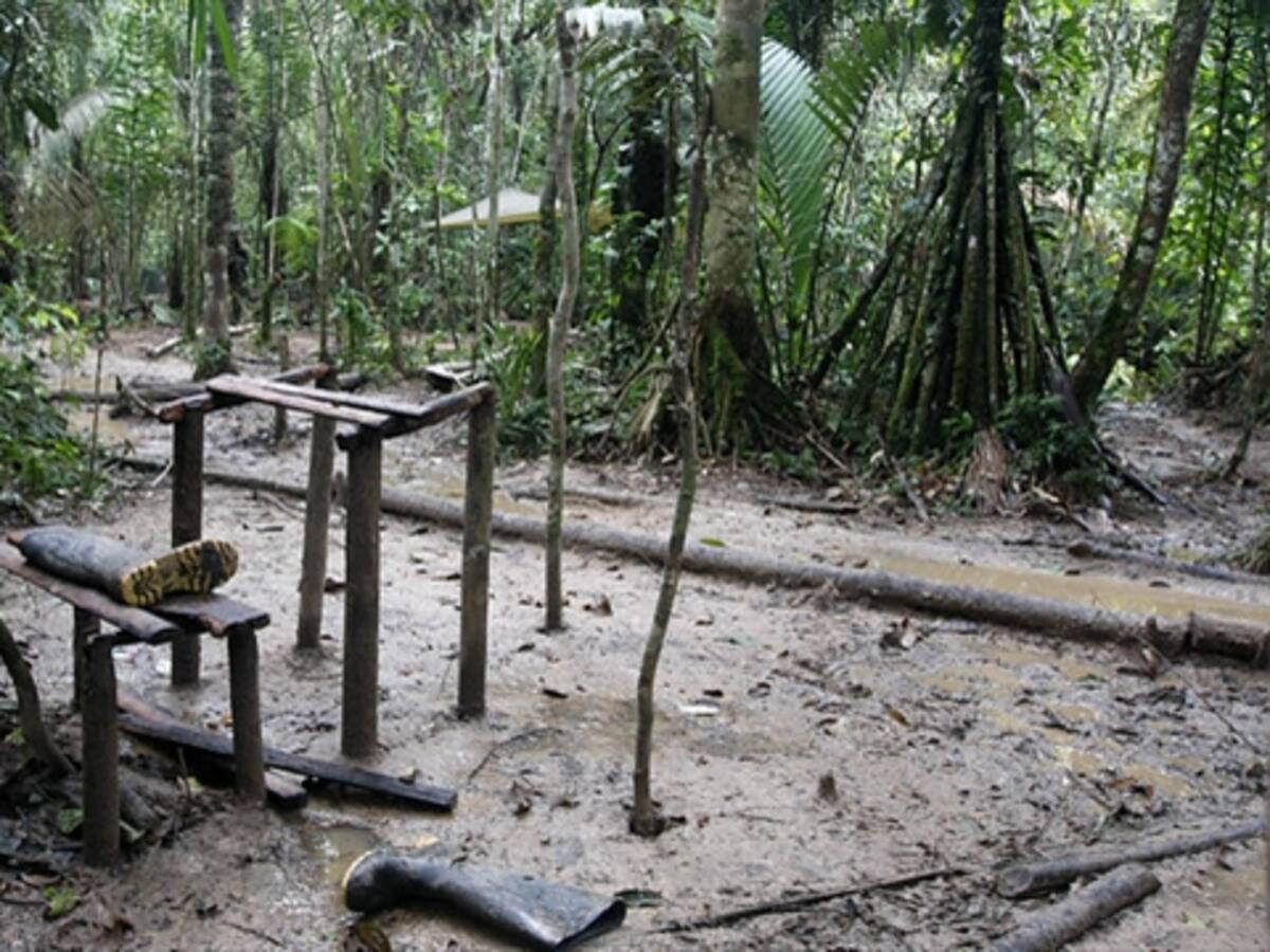 Suspensión de bombardeos no disminuyó intensidad del conflicto: Cerac