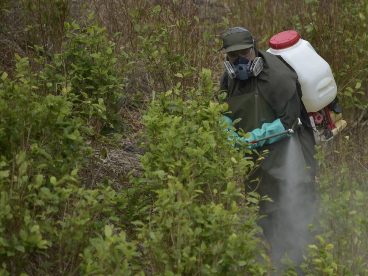 El Pacífico sigue siendo la principal ruta de narcos: Fundación Pares