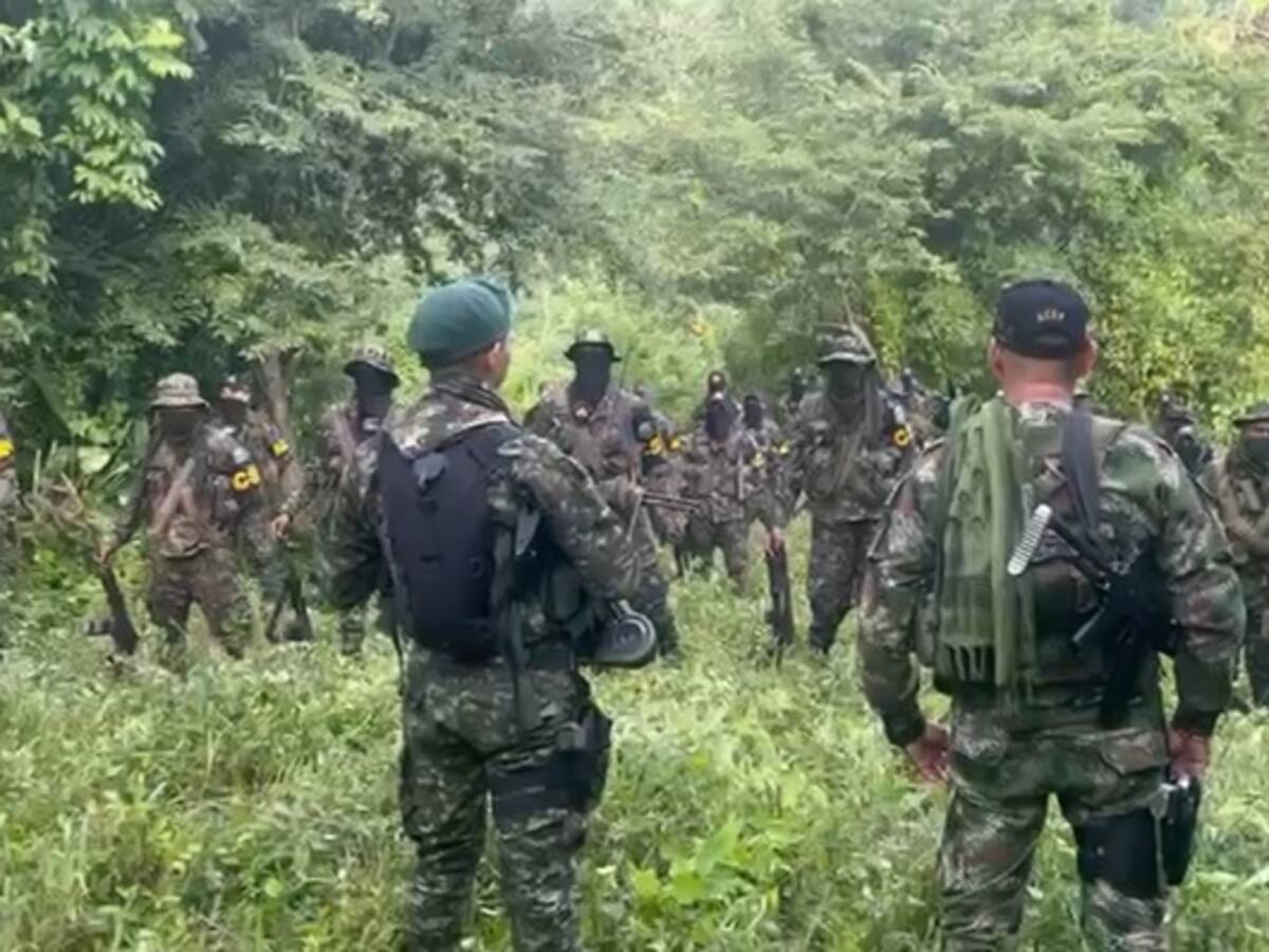ACSN declaran objetivo militar a ‘aliados’ del Clan del Golfo que intimidan al campesinado