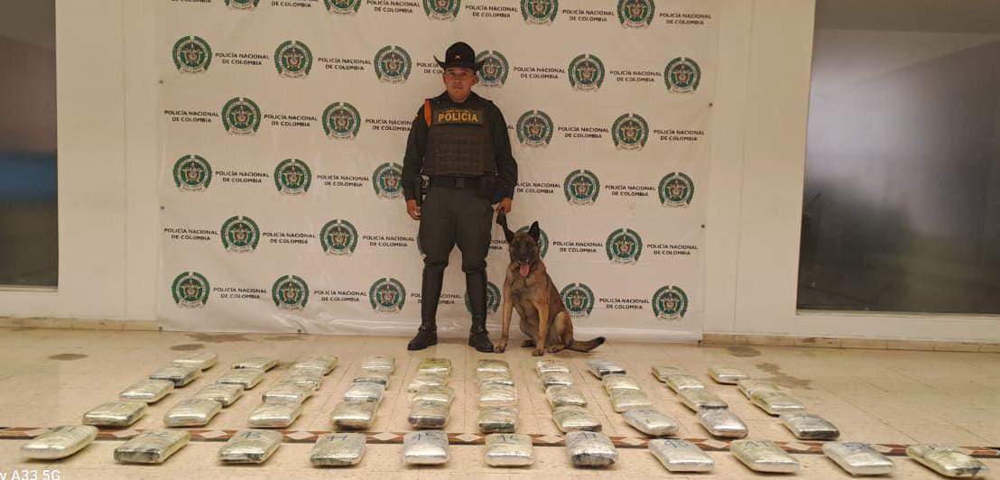 Autoridades encontraron más de 50 mil gramos de estupefacientes en Pasto que serían transportados en modalidad de encomienda