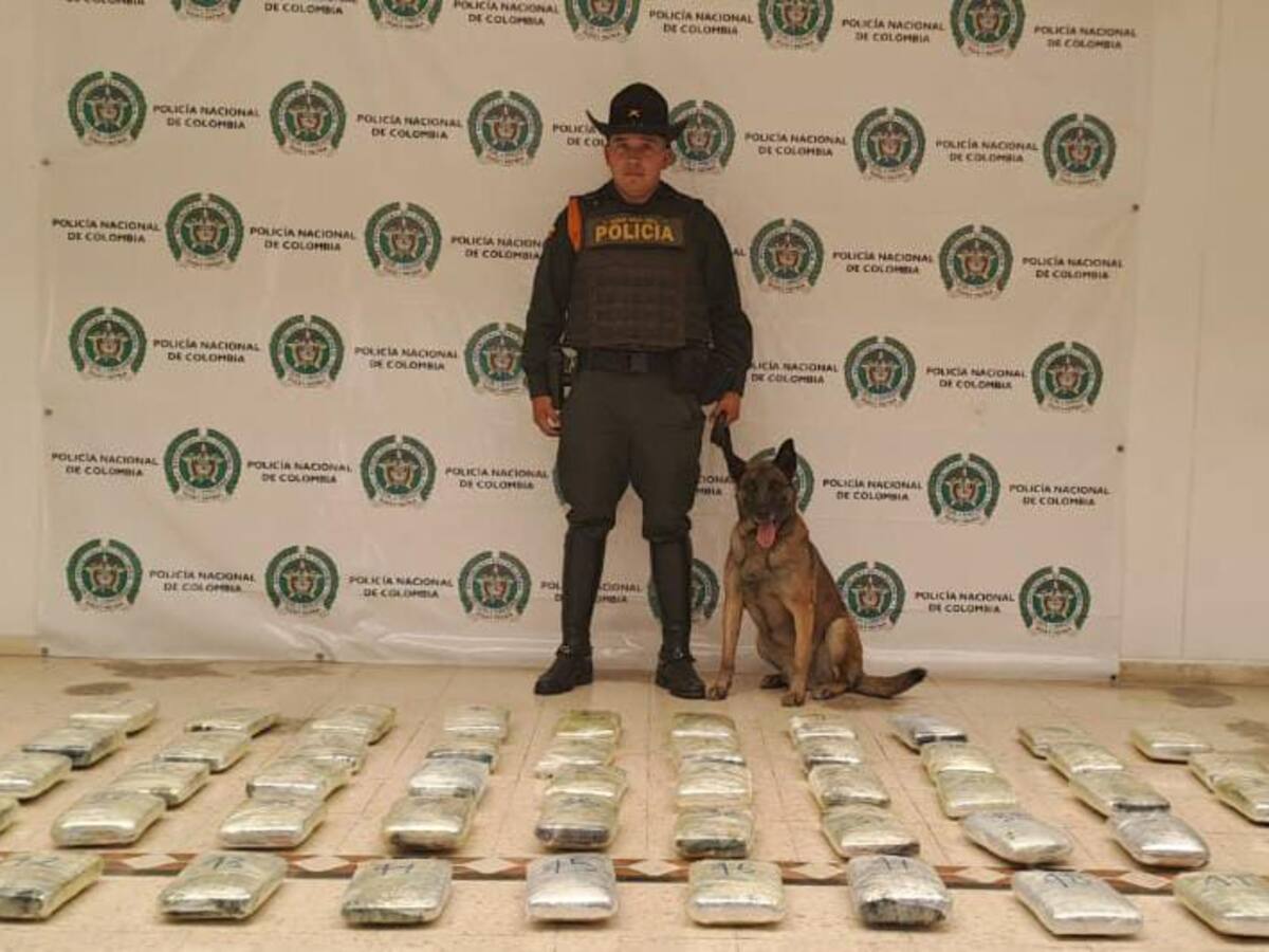 Autoridades en Pasto descubrieron paquete con más de 51 mil gramos de marihuana