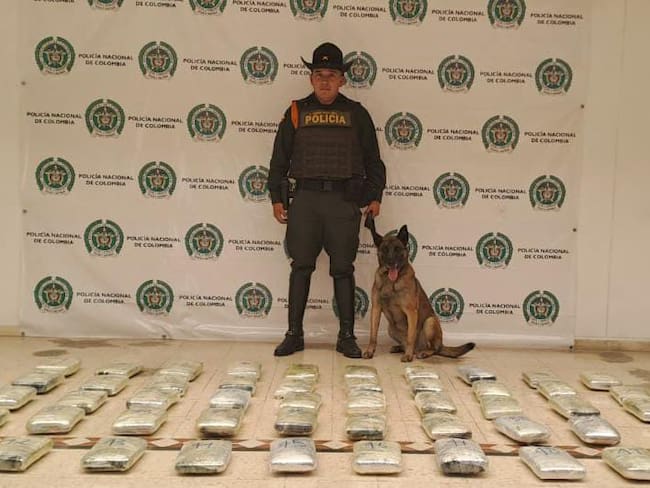 Autoridades encontraron más de 50 mil gramos de estupefacientes en Pasto que serían transportados en modalidad de encomienda