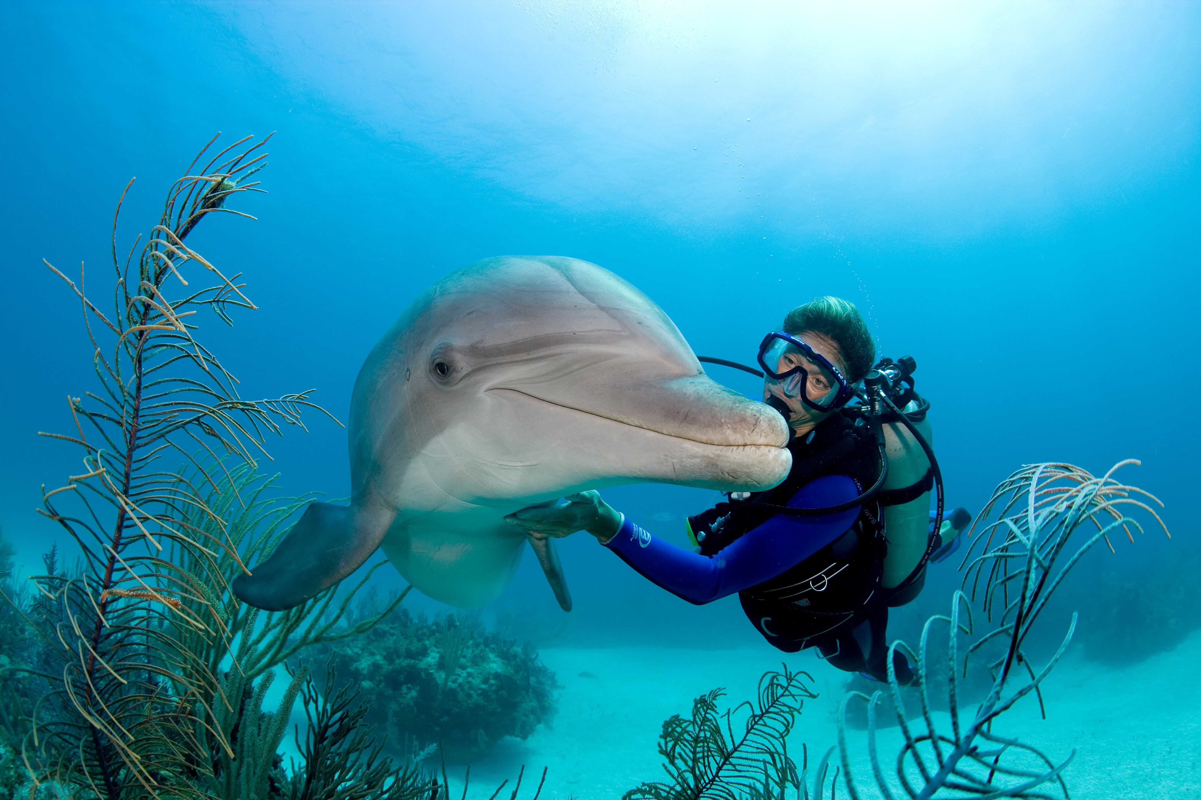 Referencia: Getty Images