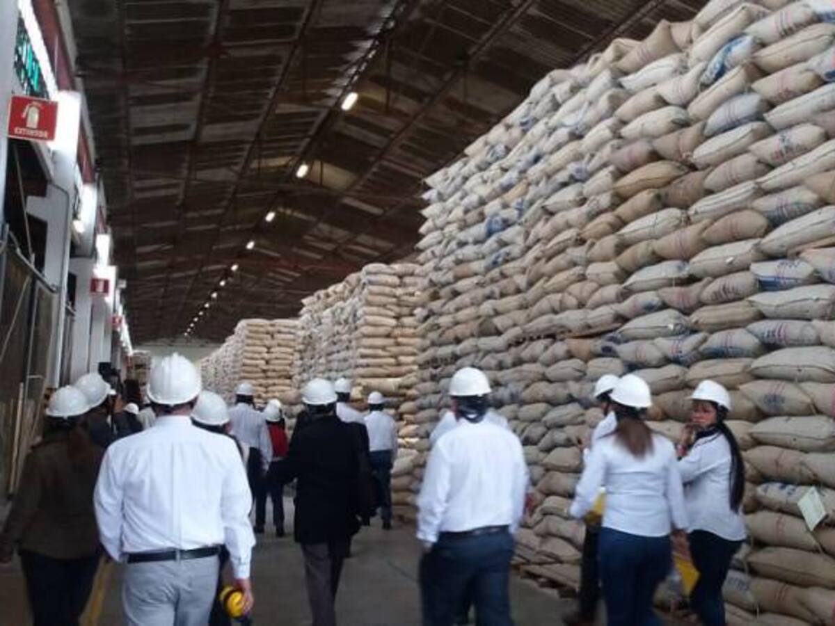 En un 3,6% aumentó la producción de café en junio en el país