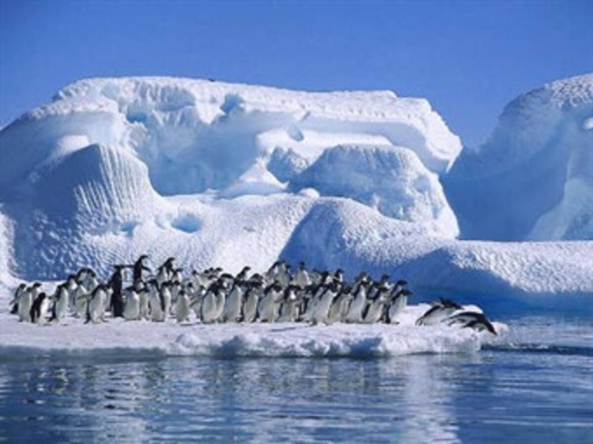 Ecuador enviará expedición para continuar investigación científica ambiental