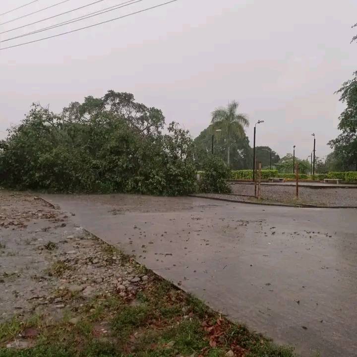 Habitantes del sector solicitan la presencia de los Bomberos y otros organismos de socorro.