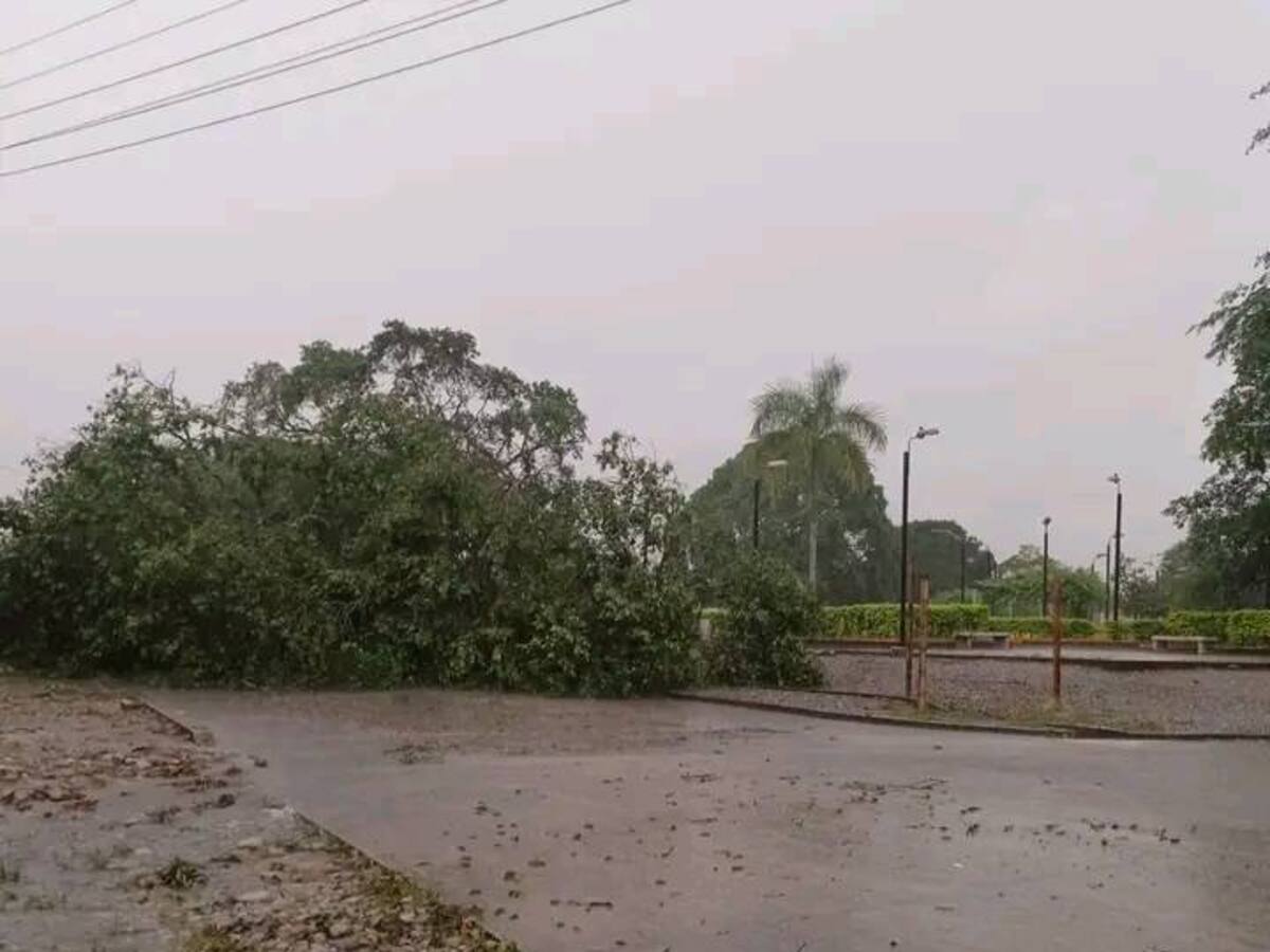 Fuerte vendaval provoca emergencia en el corregimiento de Puerto Limón, en Mocoa