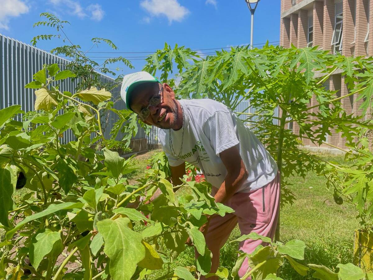 Huertas comunitarias urbanas: una apuesta por la seguridad alimentaria en Barranquilla