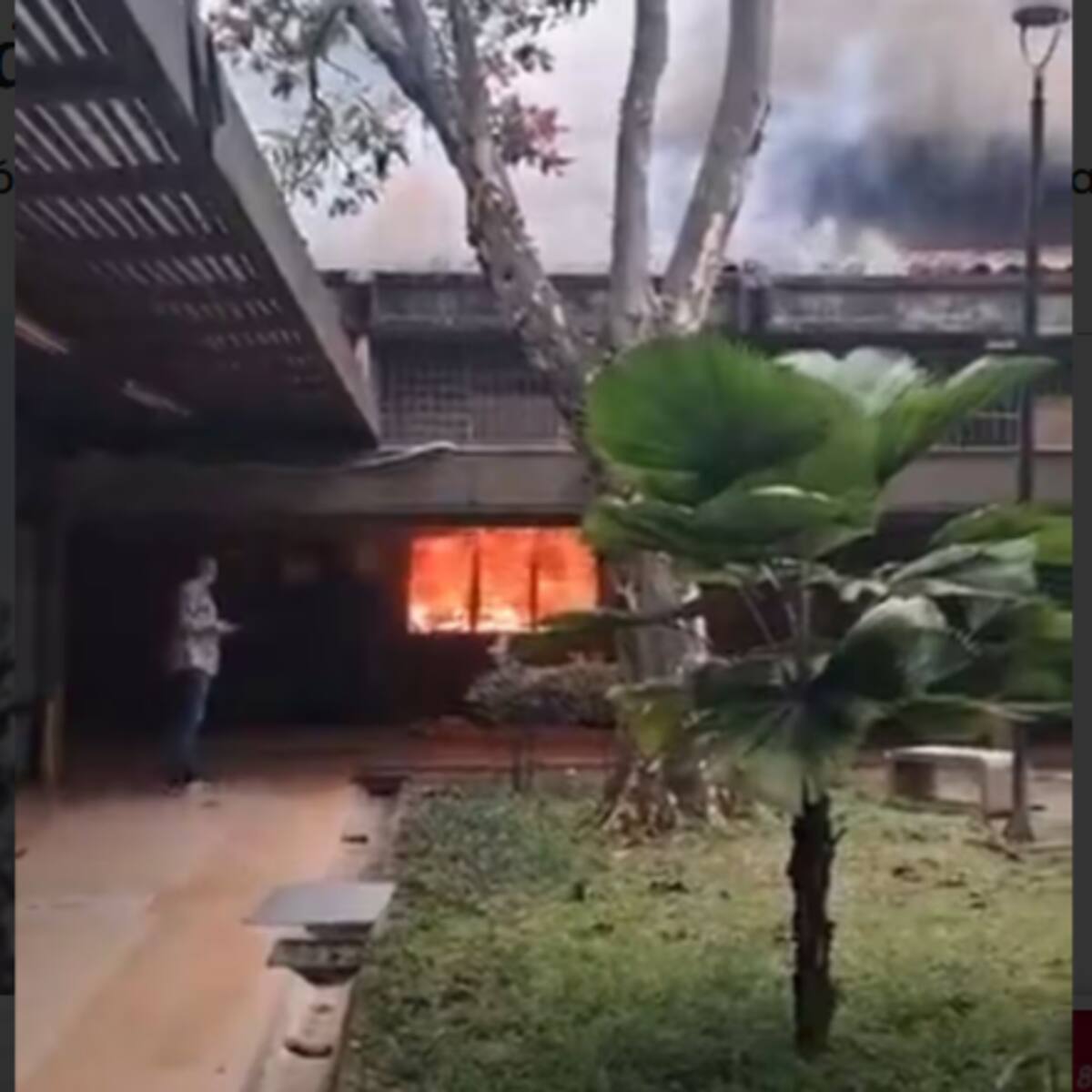 Que inteligencia determine quiénes son los responsables del incendio en el Politécnico: Fico