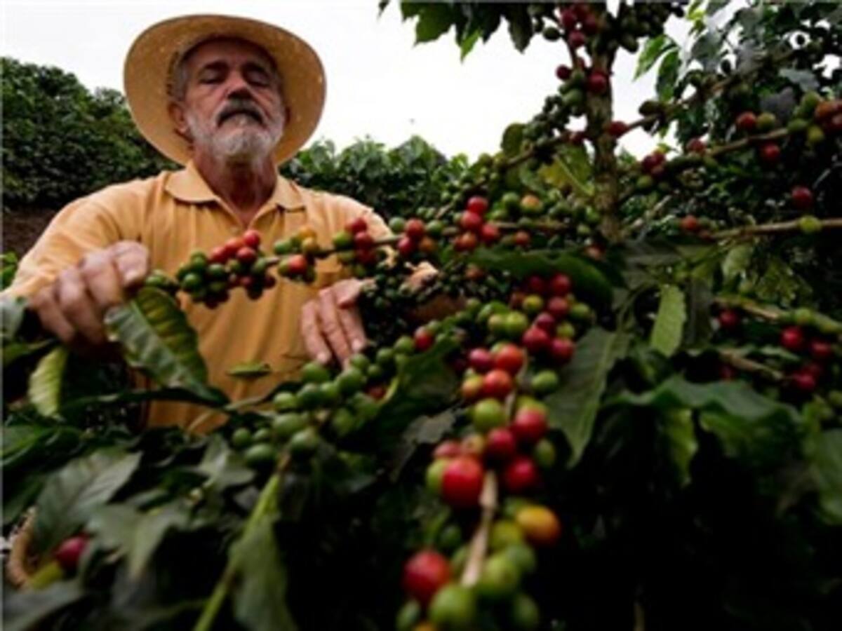 Cafeteros se reúnen con funcionario del Gobierno Nacional y organismos de control