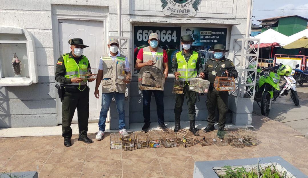 El decomiso de los animales se desarrolló en el mercado de Bazurto