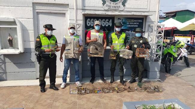 El decomiso de los animales se desarrolló en el mercado de Bazurto