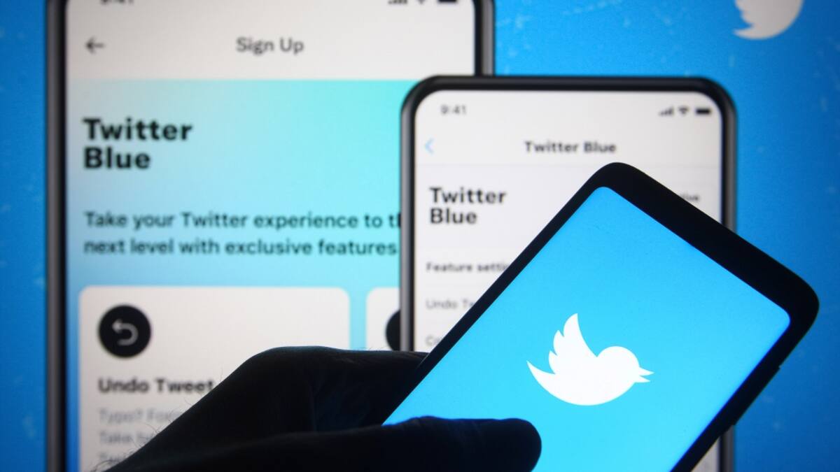 Twitter: Qué pasa cuando se denuncia un trino