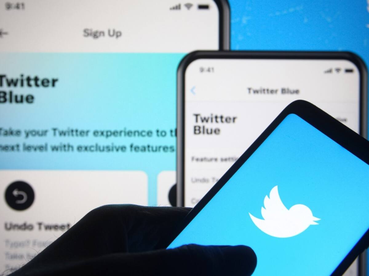 Twitter: Qué pasa cuando se denuncia un trino