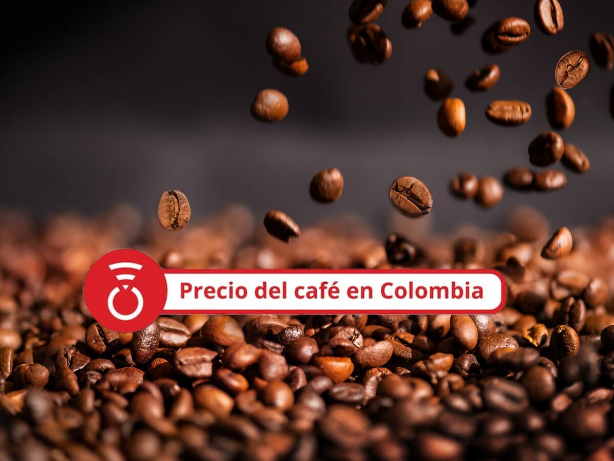 Precio del café HOY 18 de agosto: El precio del grano comenzó la semana al alza