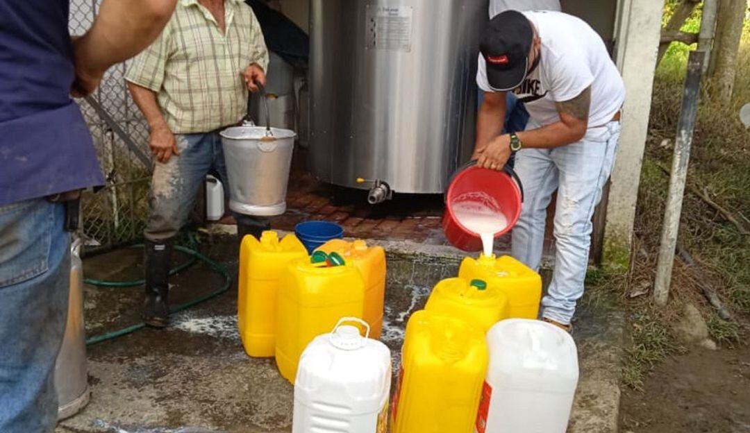 Los productores de leche en Boyacá han tenido que regalar la leche debido a los bloqueos que se presentan en las diferentes vías del departamento.