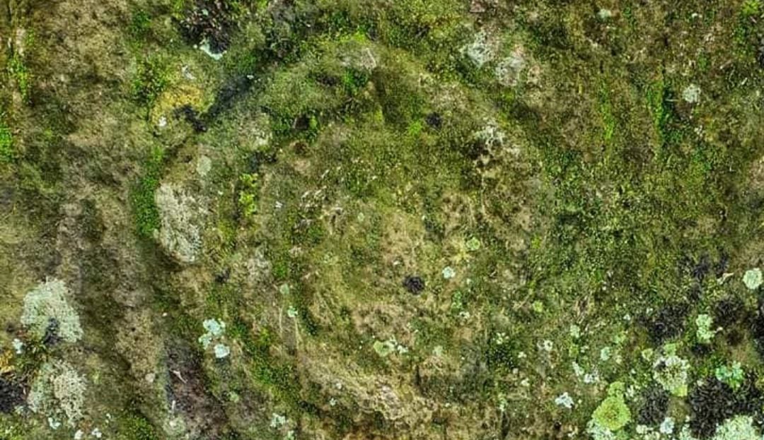 El Municipio de Tesalia, fue antiguamente una región habitada por diferentes culturas como Paeces y Pijaos.