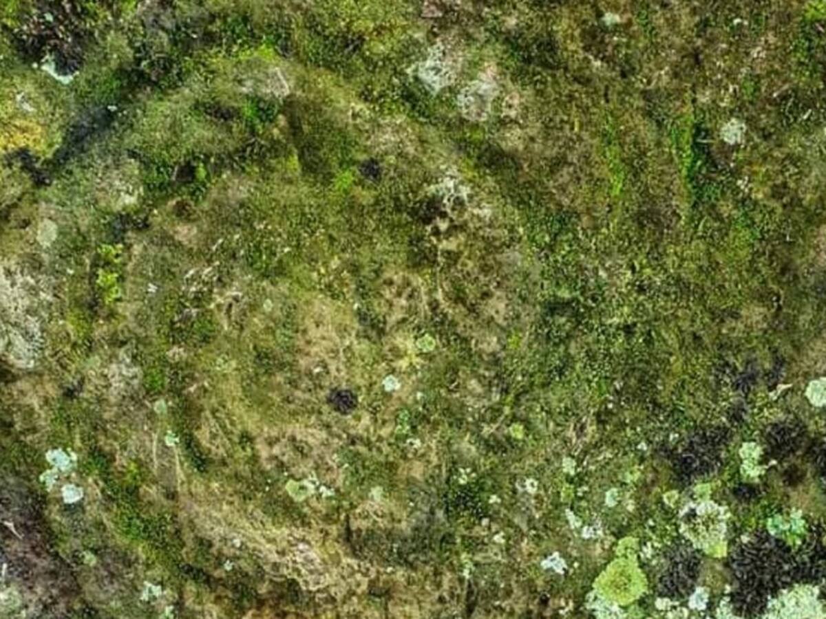 Descubren monolito arqueológico en Pacarni, Tesalia