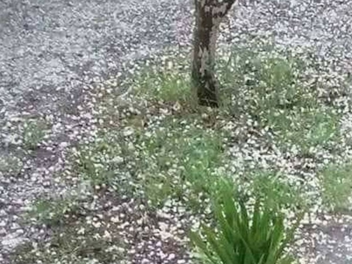 Lluvia de granizo en Cotorra, Córdoba