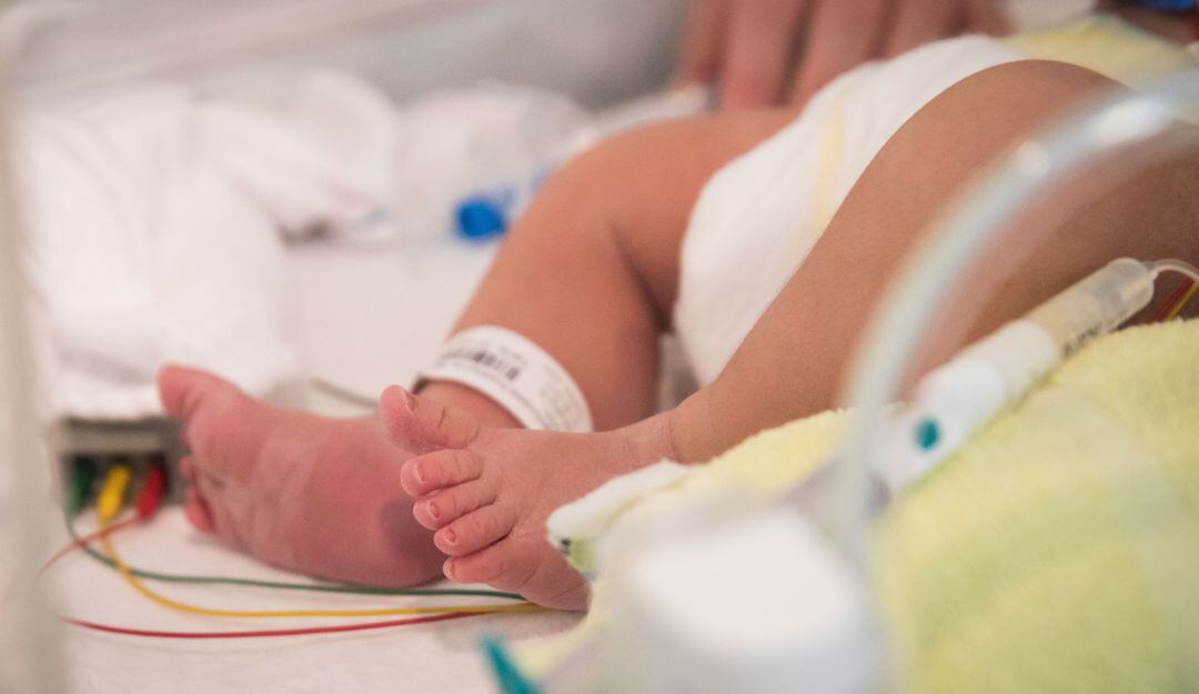 Imagen de referencia