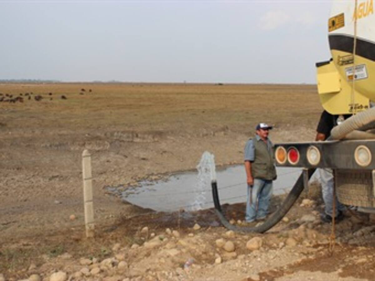 Agua para los animales víctimas de la sequía en Casanare