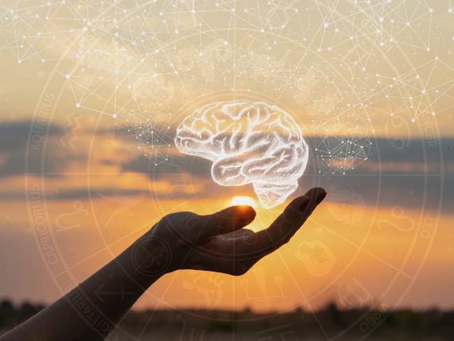 Cerebro dibujado sobre la mano de una persona / Rueda del zodiaco (Getty Images)