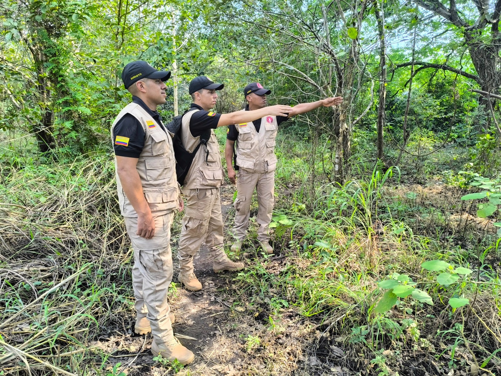 Toledo, primer municipio de Norte de Santander con zona libre de sospecha de minas. / Foto: Ejército Nacional.