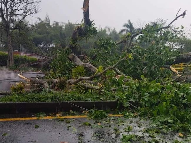 Secretaria del interior del Quindío Juan Camila Gómez