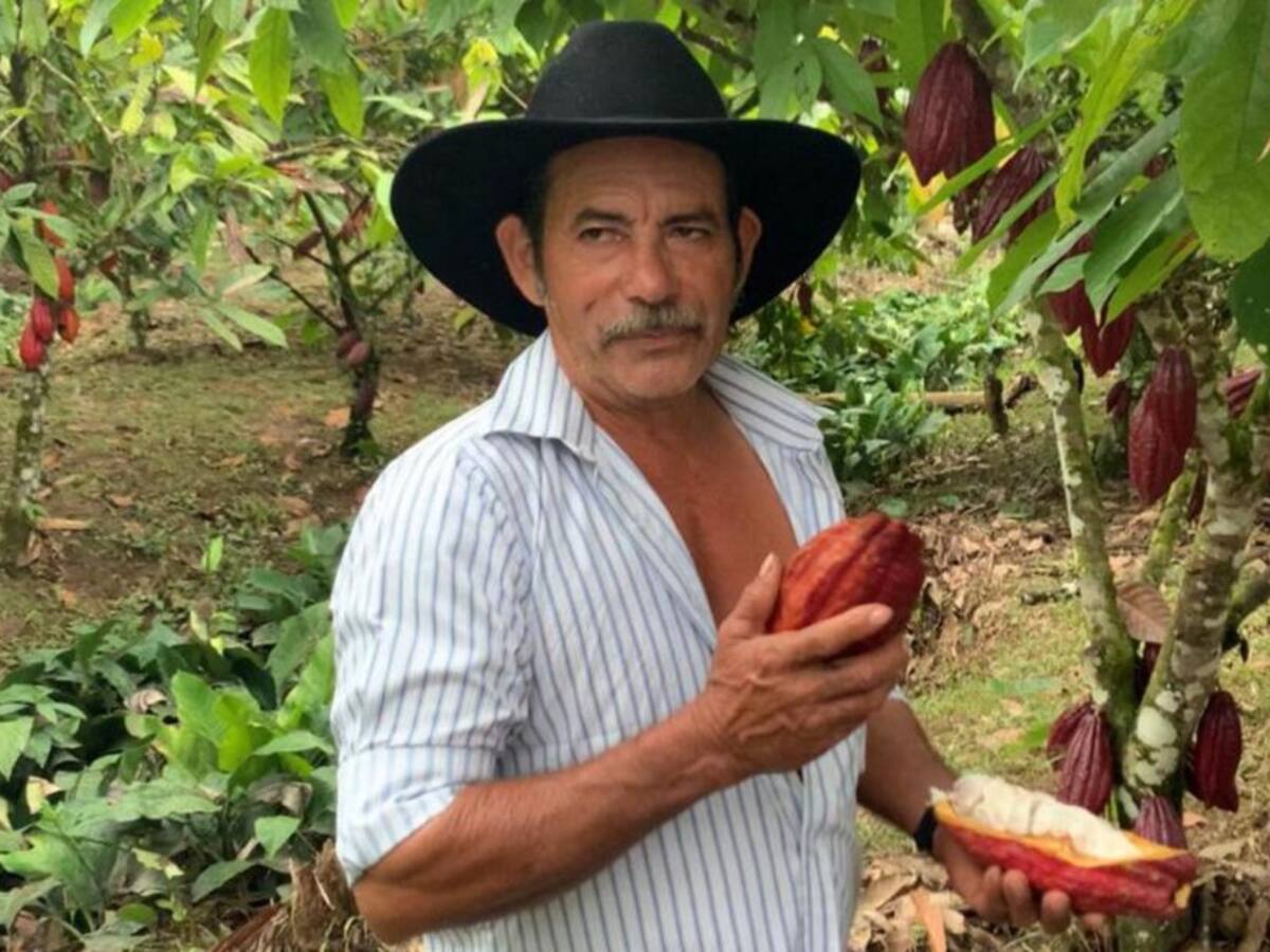 La construcción de la paz va con la protección de la Amazonía