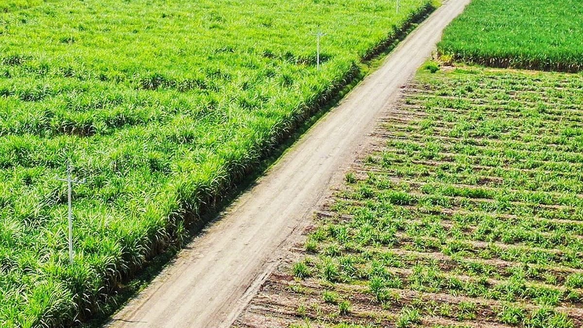 Ministerio de Agricultura impulsa desarrollo rural en Norte del Cauca con $15.851 millones