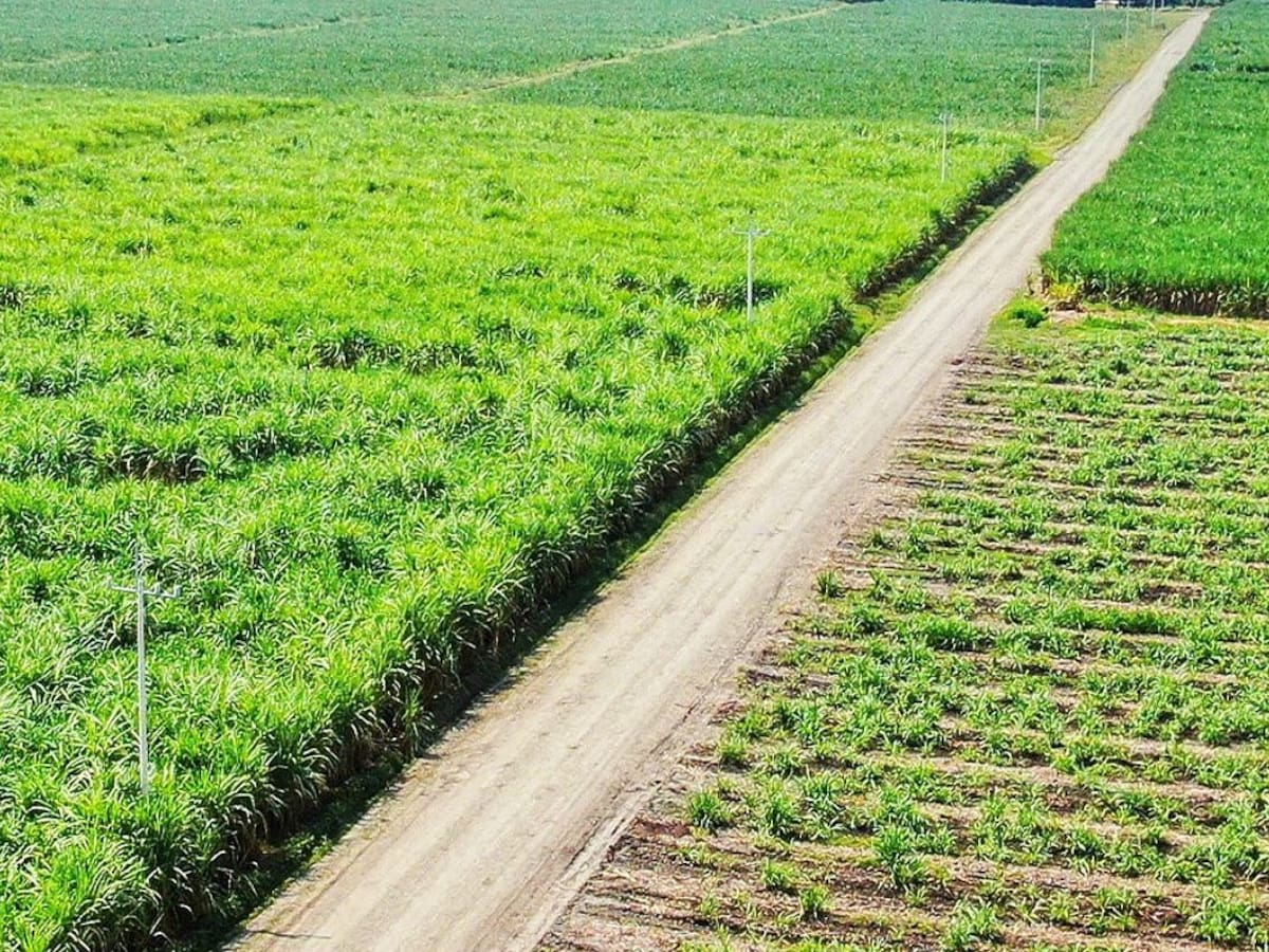 Ministerio de Agricultura impulsa desarrollo rural en Norte del Cauca con $15.851 millones