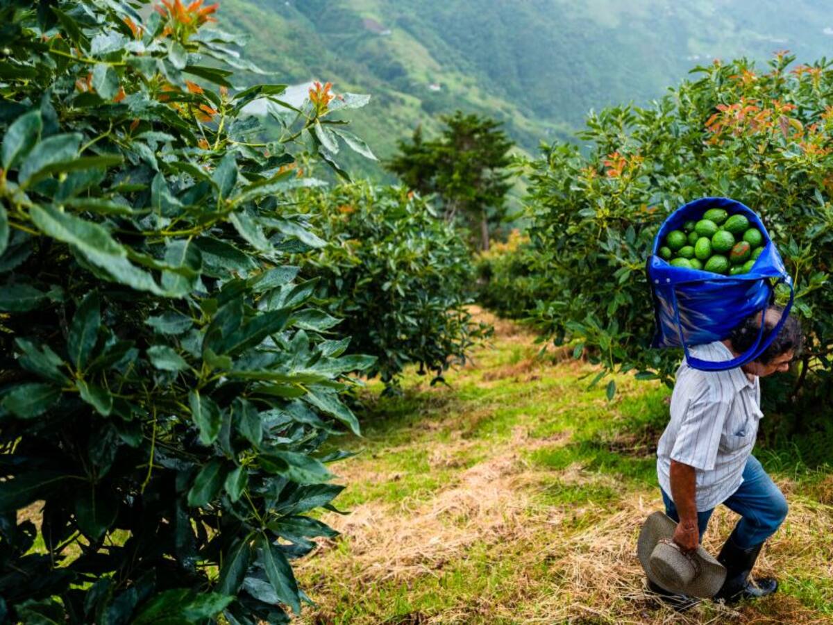 Fondo Europeo para la Paz anuncia 8,5 millones de euros para Colombia