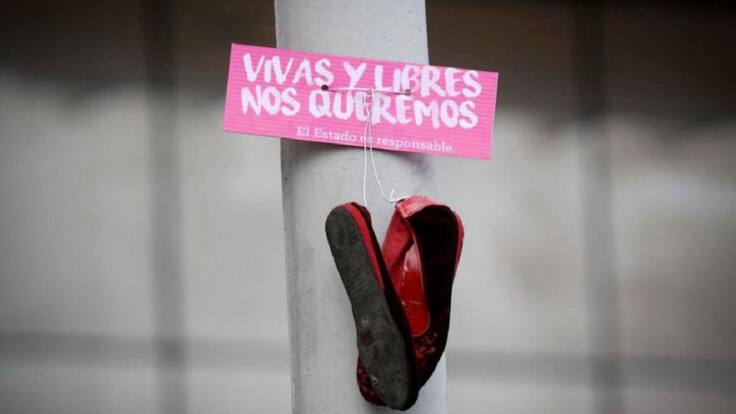 Por primera vez se declara la emergencia por violencia de género