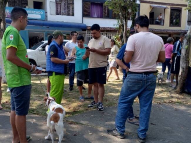 Masivo envenenamiento de animales tiene aterrorizado a un barrio de Bucaramanga