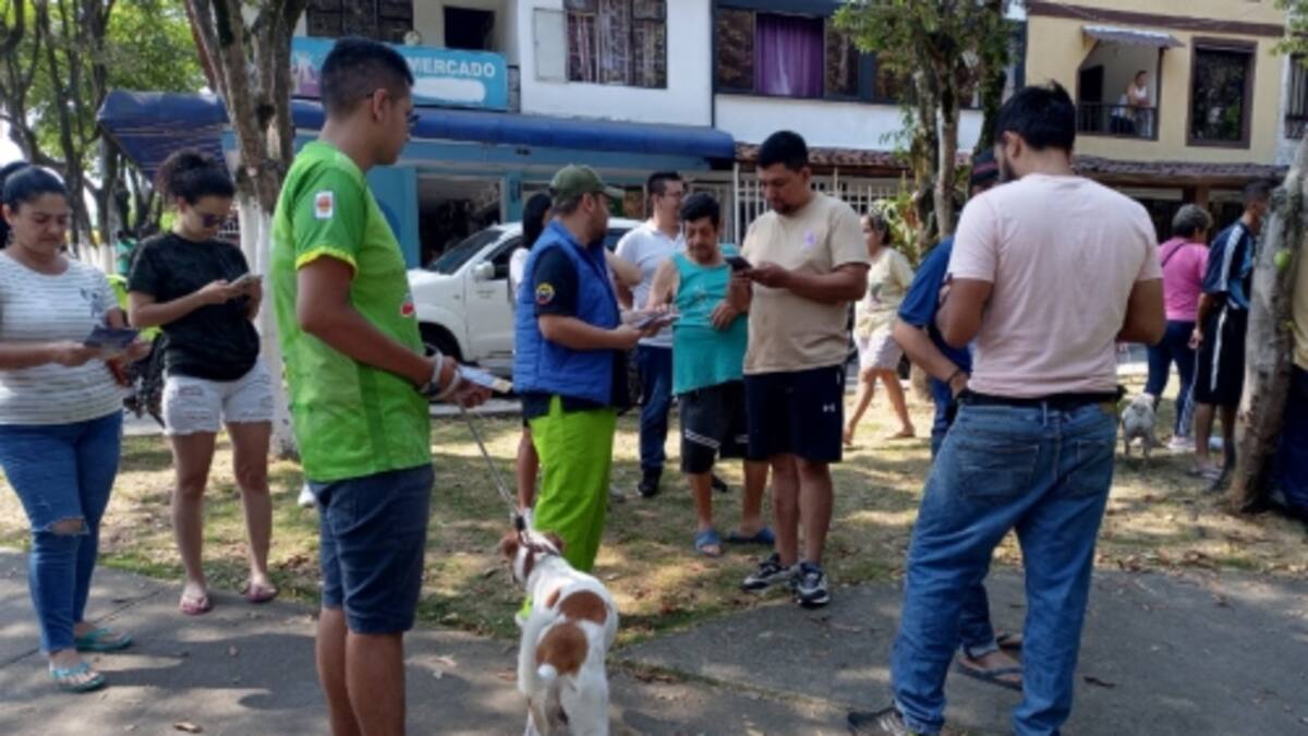 Masivo envenenamiento de animales tiene aterrorizado a un barrio de Bucaramanga