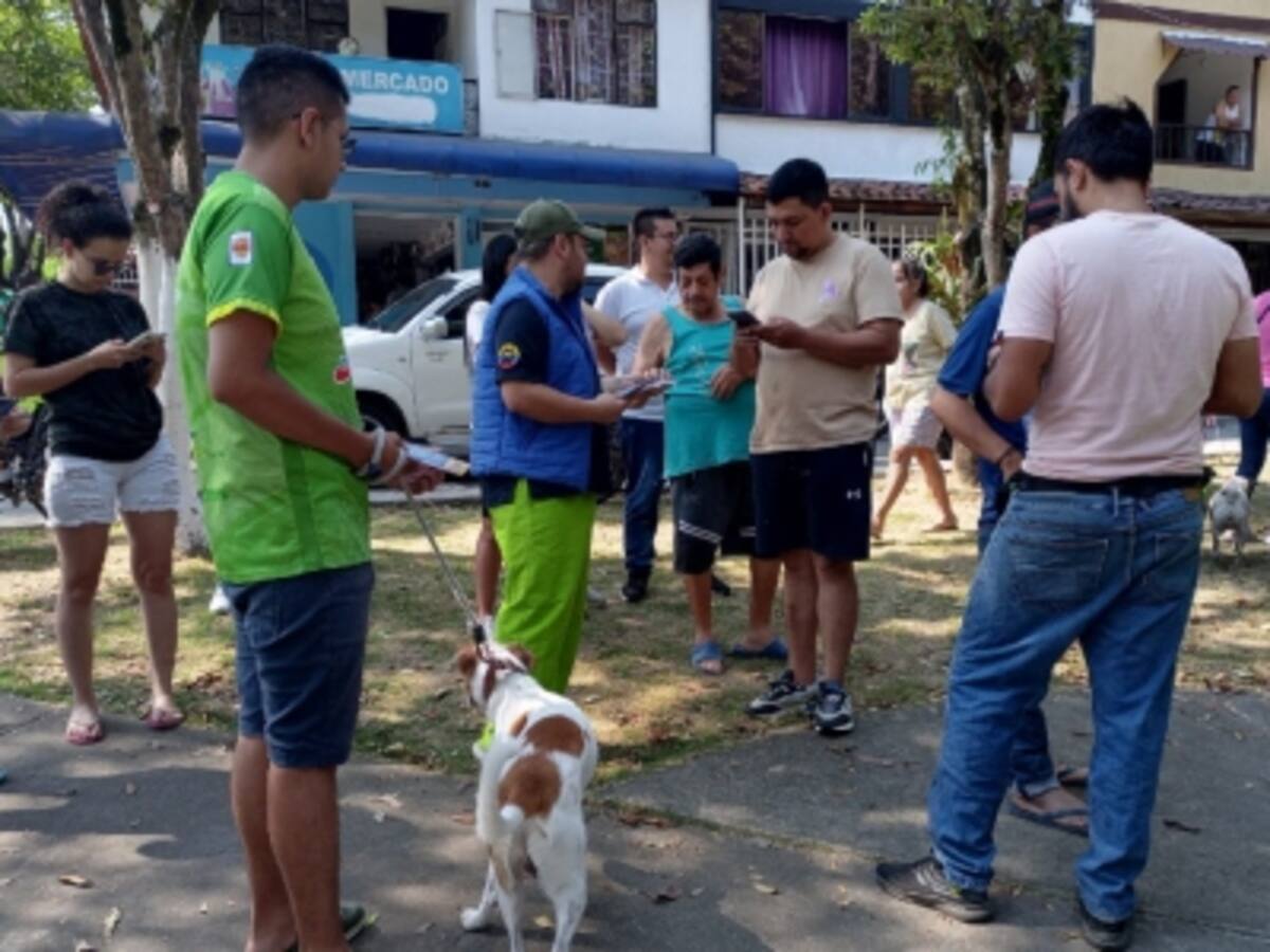 Masivo envenenamiento de animales tiene aterrorizado a un barrio de Bucaramanga