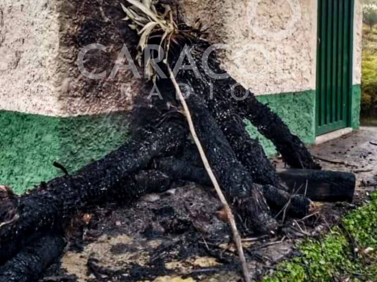 Quemaron frailejones para hacer fogata en el Páramo de Siscunsí