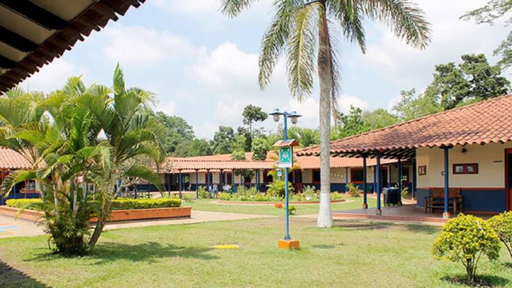 Milnert Muñoz rectora, colegio Comfenalco, Quindío