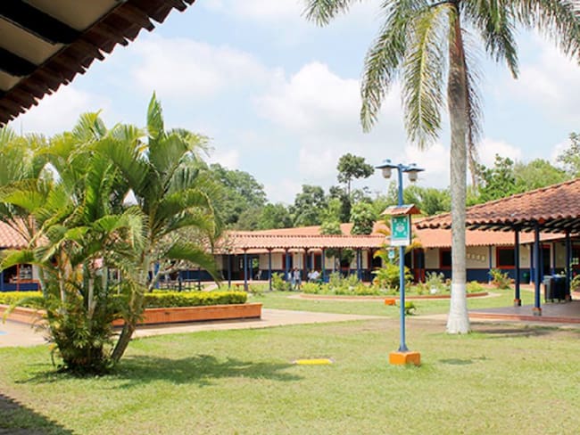 Milnert Muñoz rectora, colegio Comfenalco, Quindío