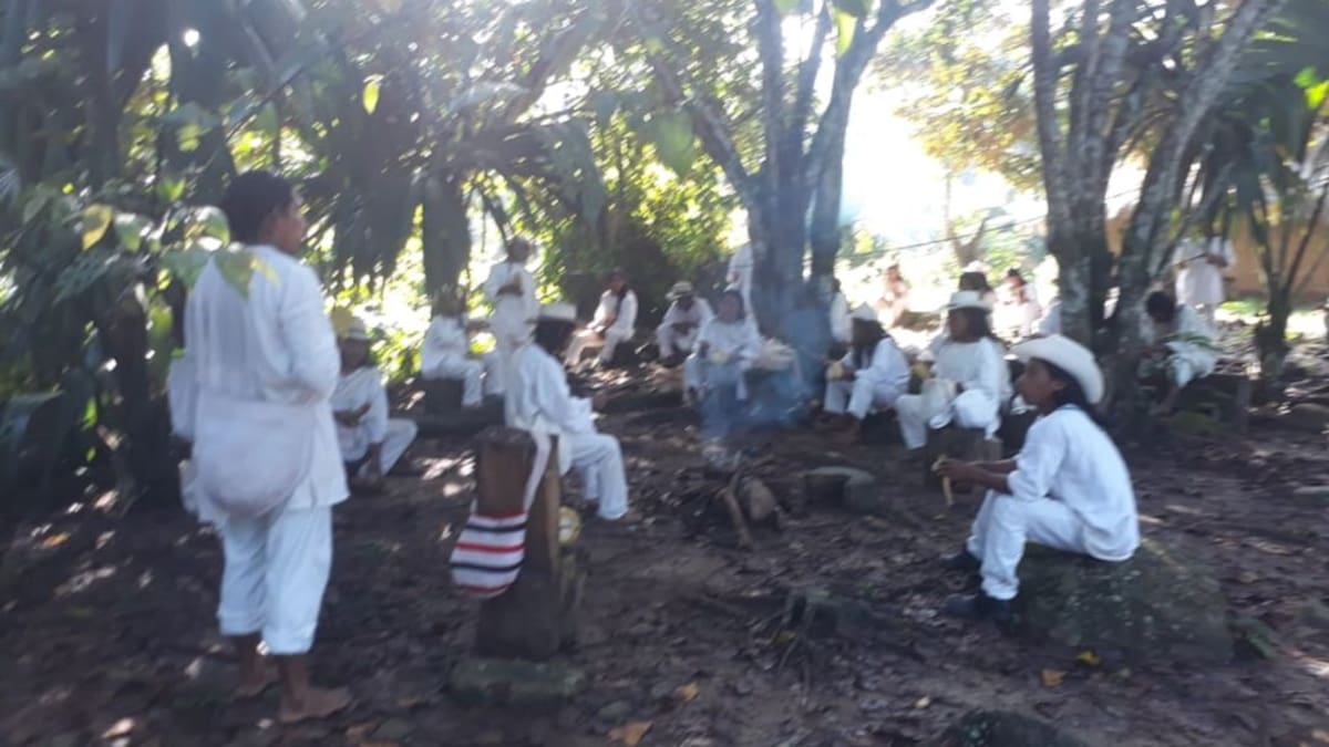 Solicitan a Gobiernos internacionales interceder en el conflicto indígena