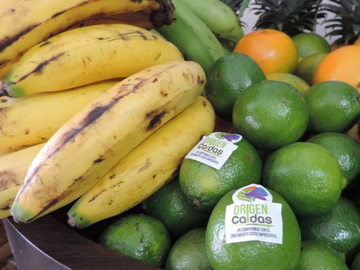Agricultores de Caldas buscan mitigar afectaciones de la nueva temporada de lluvia