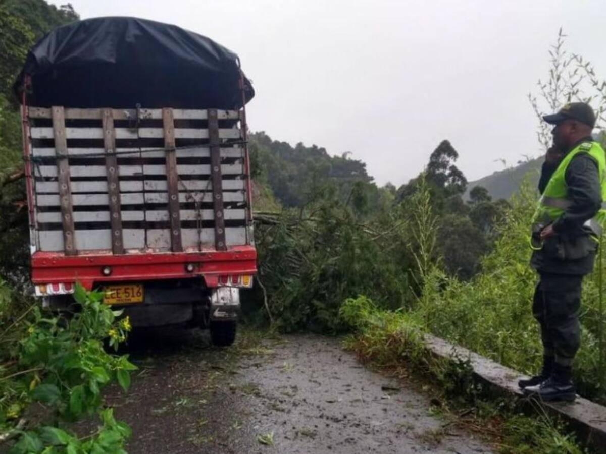 Lluvias de las últimas horas han afectado al municipio de Mistrató