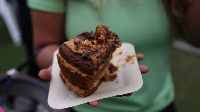 Imagen de referencia