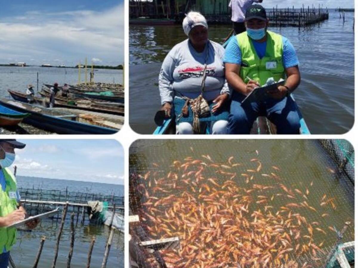 En los pueblos palafitos promueven el registro de predios piscícolas