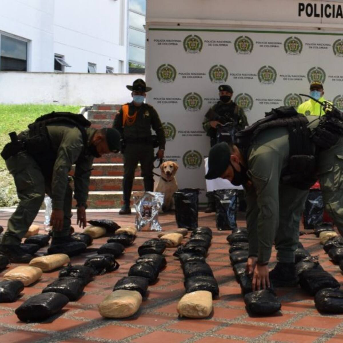 Cargamento de droga fue incautado en zona rural de Dosquebradas, Risaralda