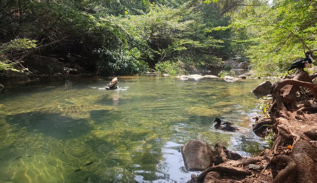 Parte media del Arroyo Bruno.